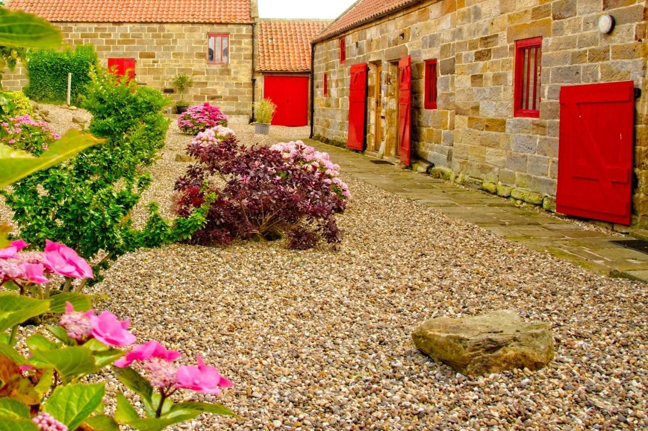 Sebright Cottage, Borrowby Farm Cottages Staithes Exterior foto
